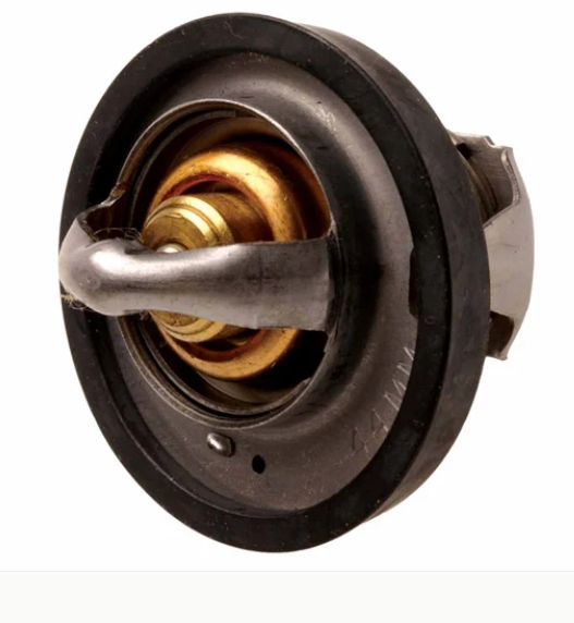 Thermostat & Gasket - C/K 1500