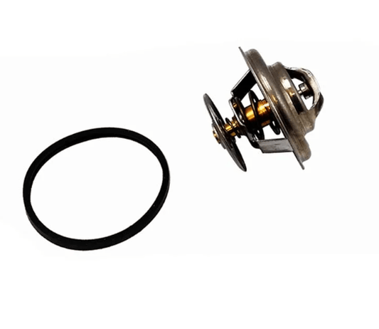Thermostat - R107 SL - Obscure Parts